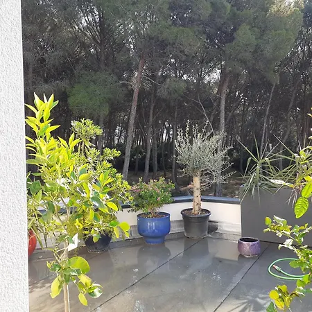 Pin D'epice 3* بالاروك ليه بان